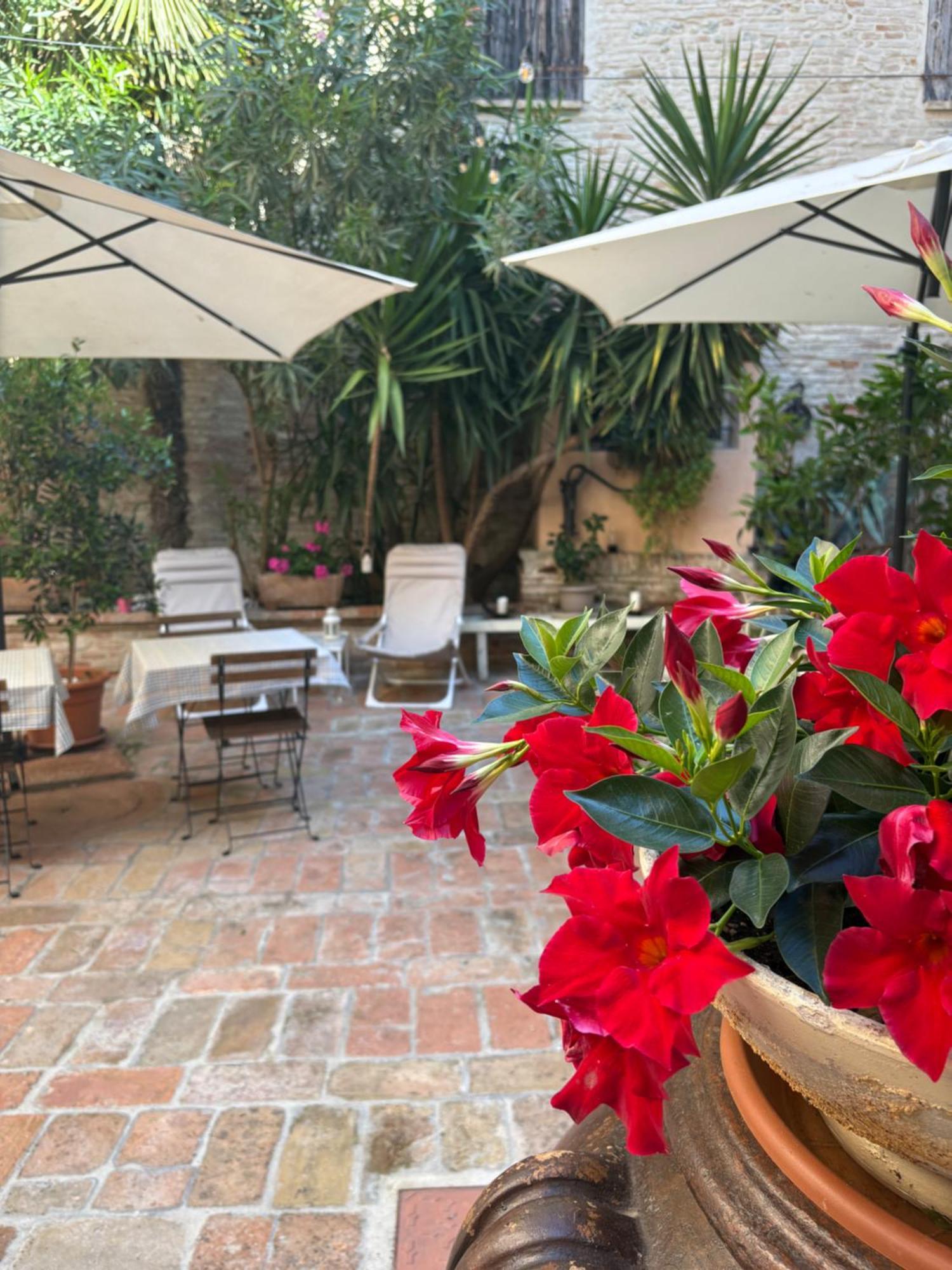 Relais B&B Corte Dei Turchi Longiano Exterior foto